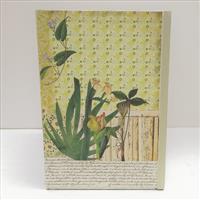 Libellen am Uferrand   